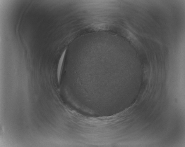 X0000070340029200606161302