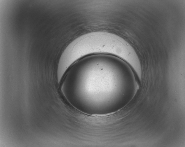 X0000070340030200606161302