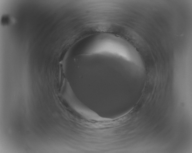 X0000070340031200606161302