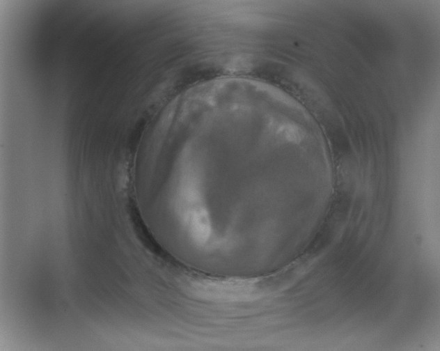 X0000070340032200606161302