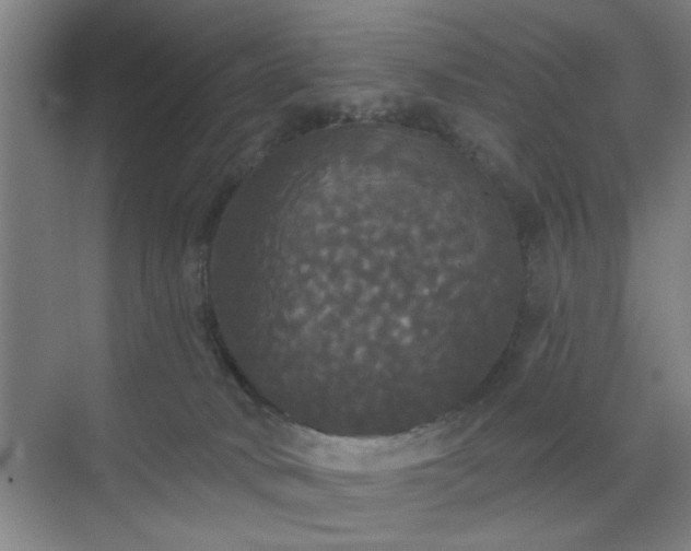 X0000070340034200606161302