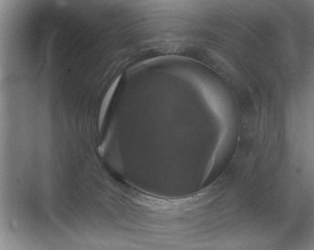 X0000070340035200606161302