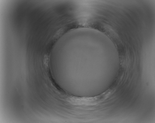 X0000070340036200606161302