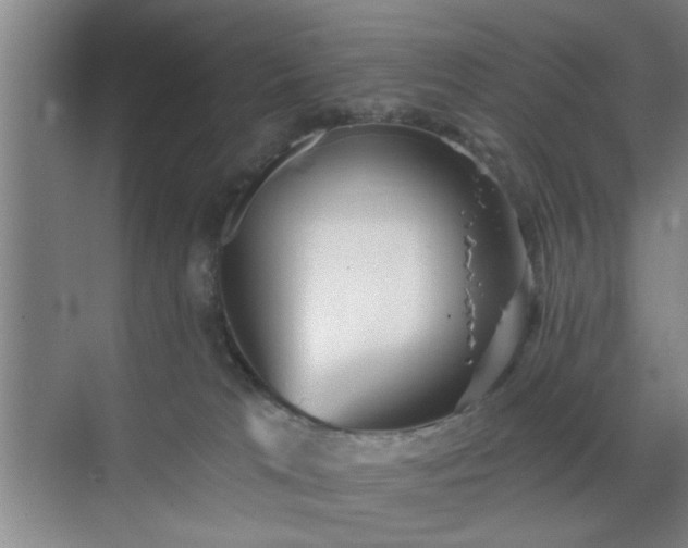 X0000070340037200606161302