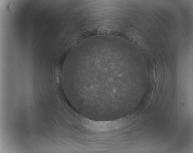 X0000070340038200606161302