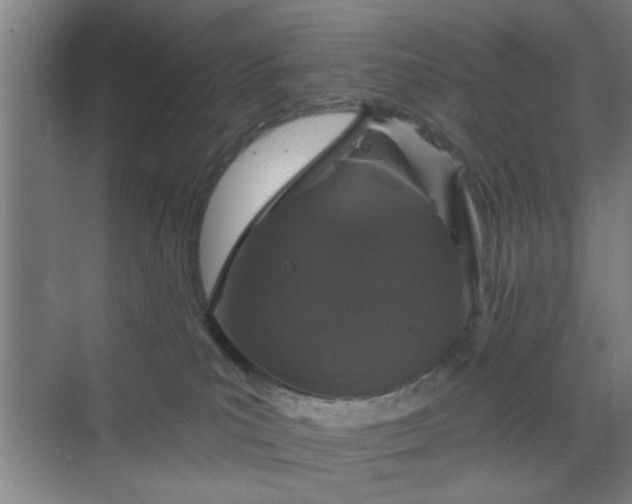 X0000070340039200606161302