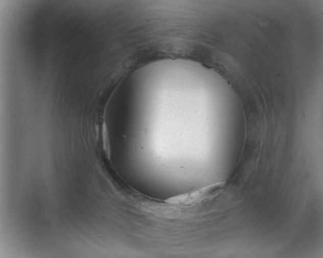 X0000070340040200606161302