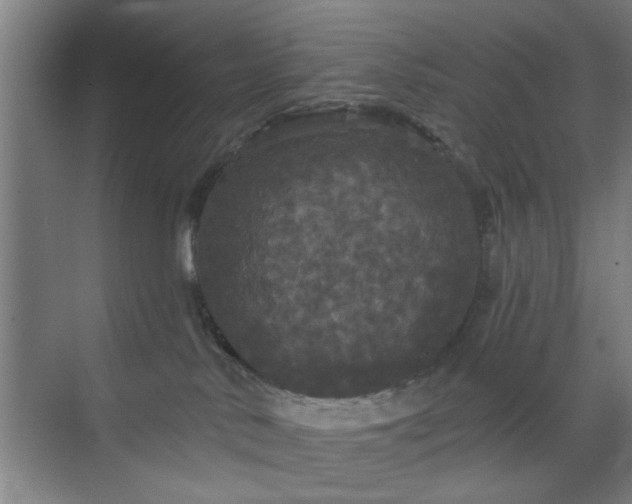 X0000070340042200606161302