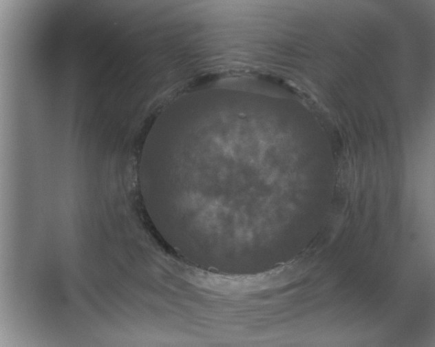 X0000070340043200606161302