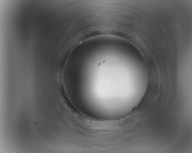 X0000070340044200606161302