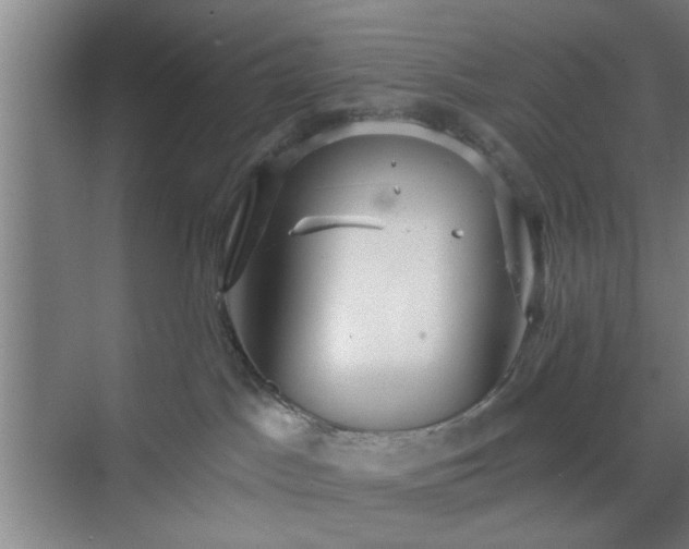 X0000070340045200606161302