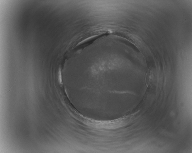 X0000070340046200606161302