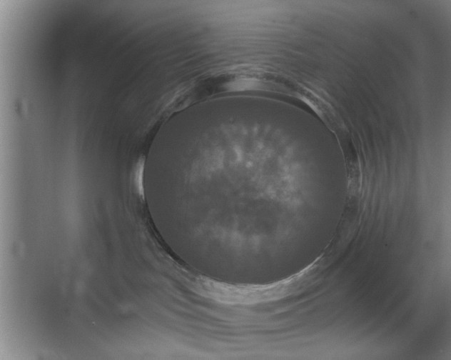 X0000070340047200606161302