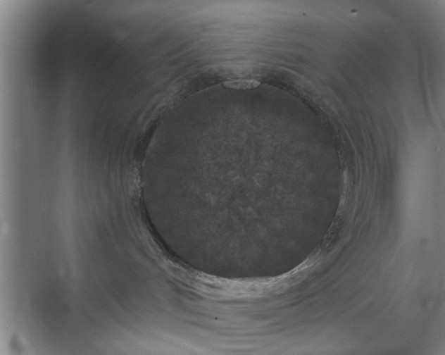 X0000070340048200606161302