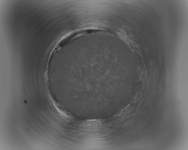 X0000070340050200606161301