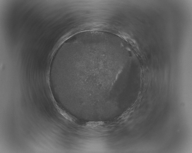 X0000070340051200606161301