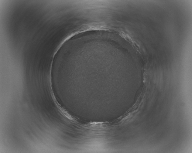 X0000070340052200606161301