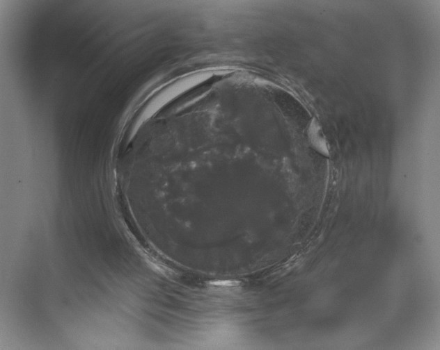 X0000070340053200606161301