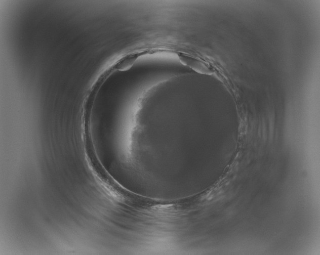 X0000070340054200606161301