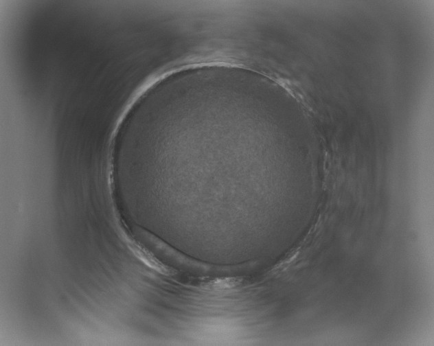 X0000070340056200606161301