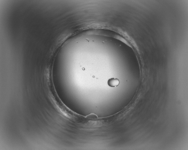 X0000070340057200606161301