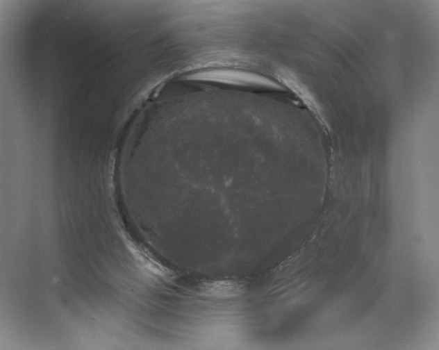 X0000070340058200606161301