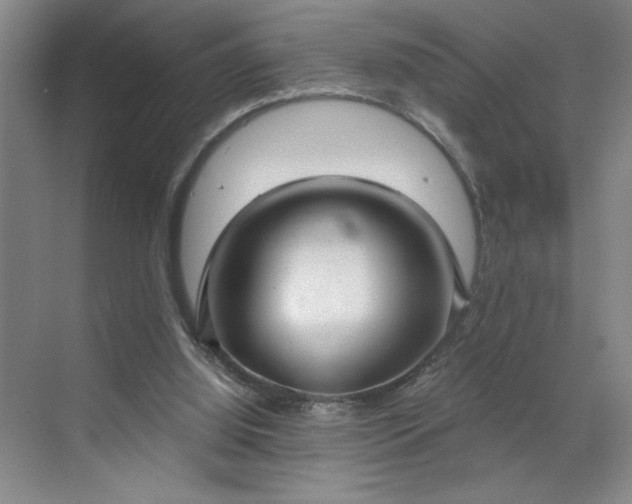 X0000070340060200606161301