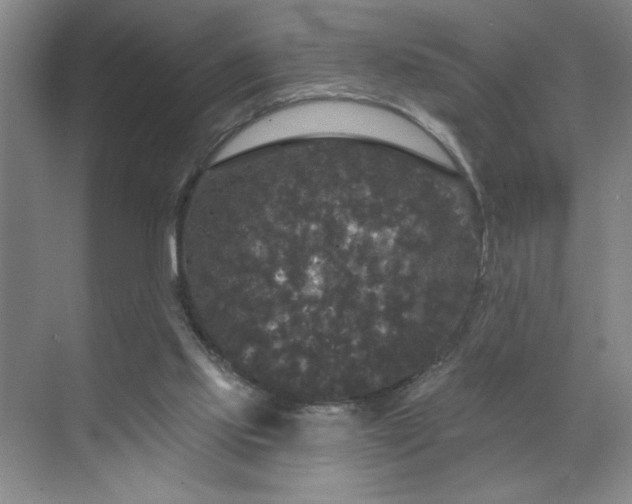 X0000070340061200606161301