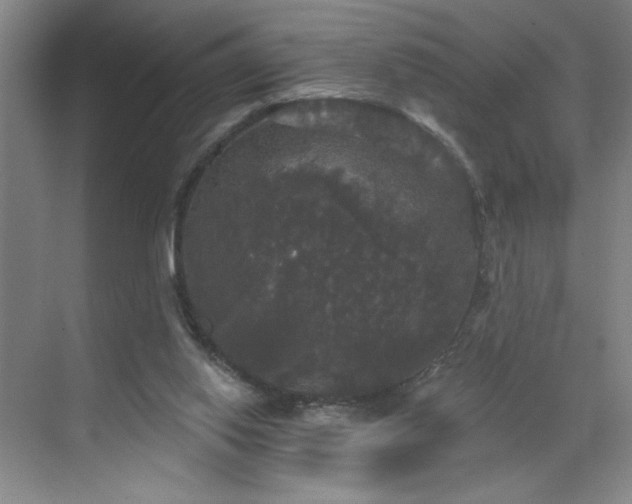 X0000070340062200606161301