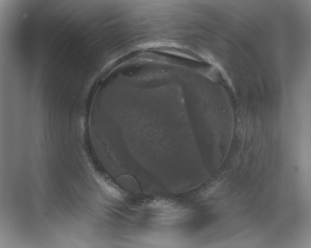 X0000070340063200606161301