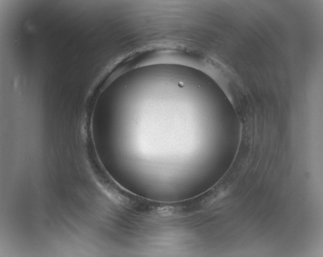 X0000070340064200606161301