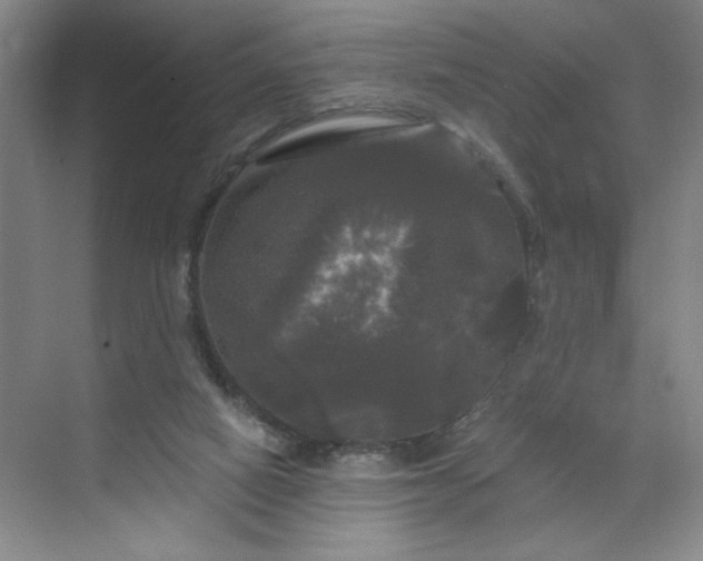 X0000070340066200606161301