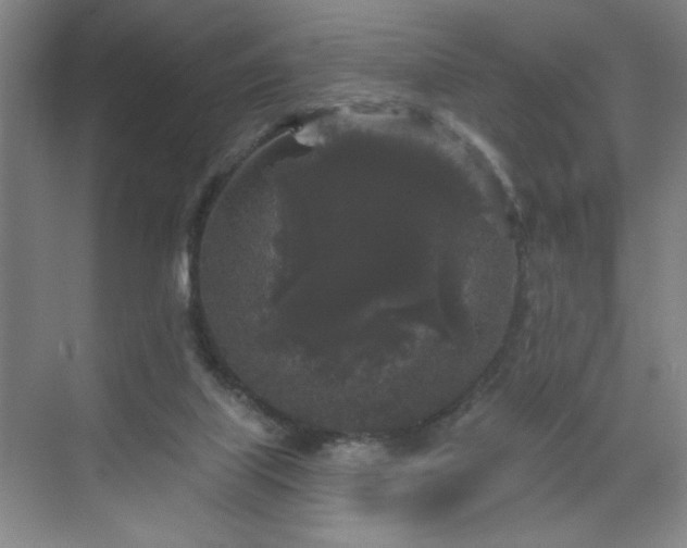 X0000070340067200606161301