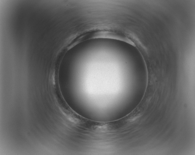 X0000070340068200606161301