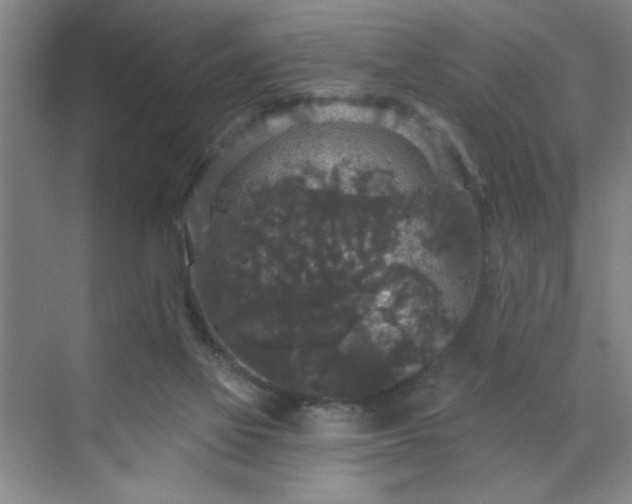 X0000070340069200606161301