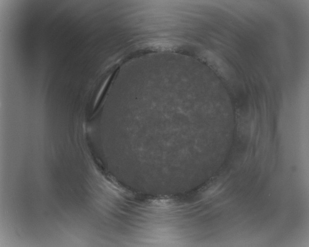 X0000070340071200606161301