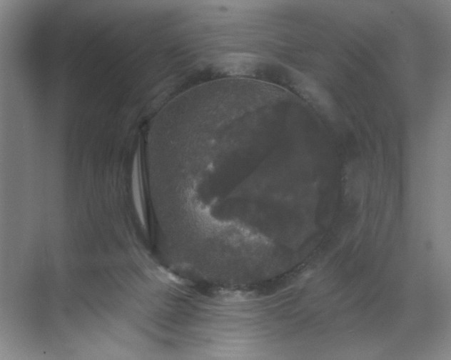 X0000070340073200606161301