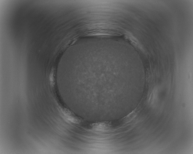 X0000070340074200606161301