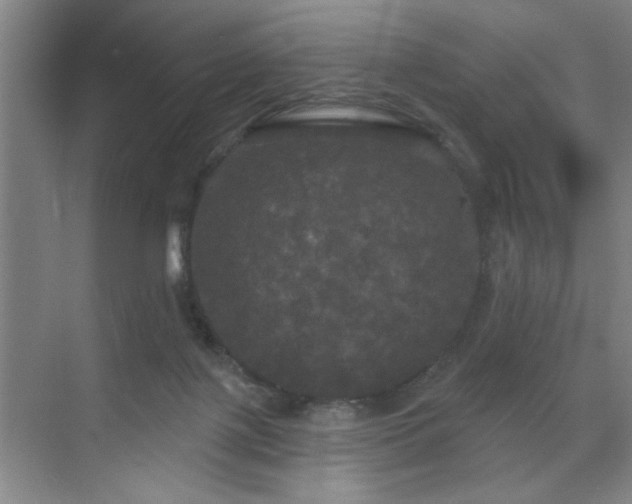 X0000070340075200606161301