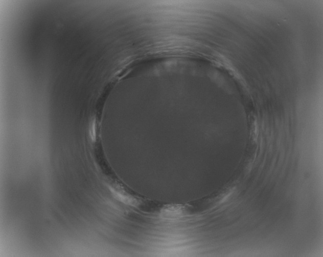 X0000070340076200606161301