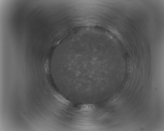 X0000070340077200606161301