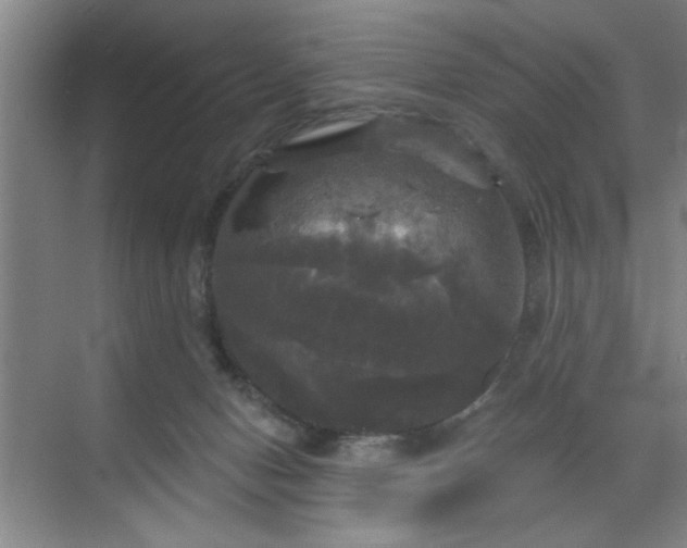 X0000070340078200606161301