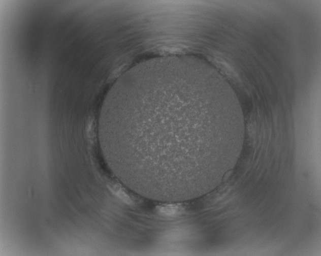 X0000070340079200606161301