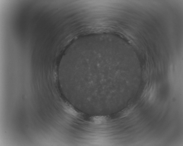 X0000070340085200606161301