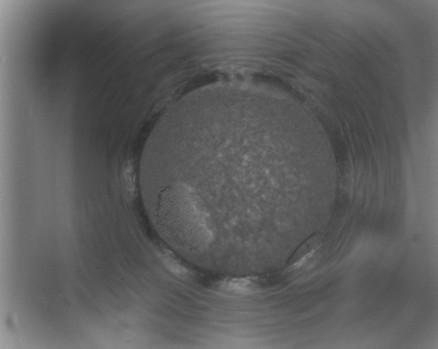 X0000070340086200606161301