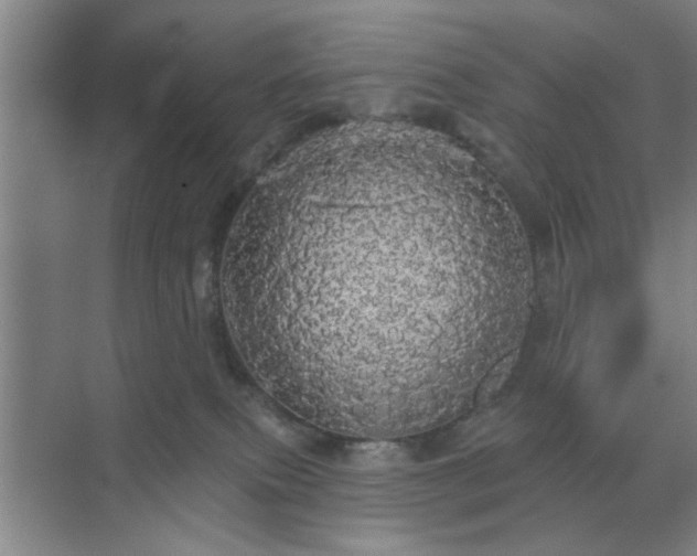 X0000070340087200606161301