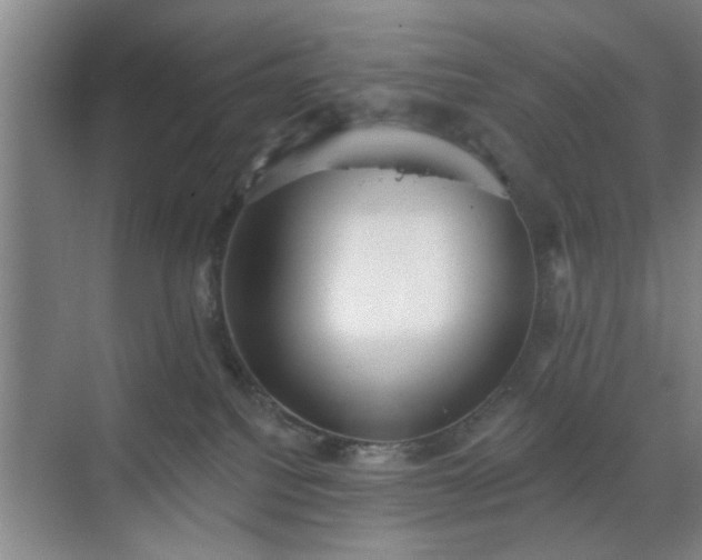 X0000070340088200606161302