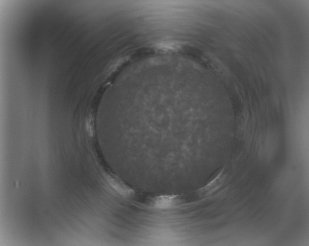 X0000070340090200606161302