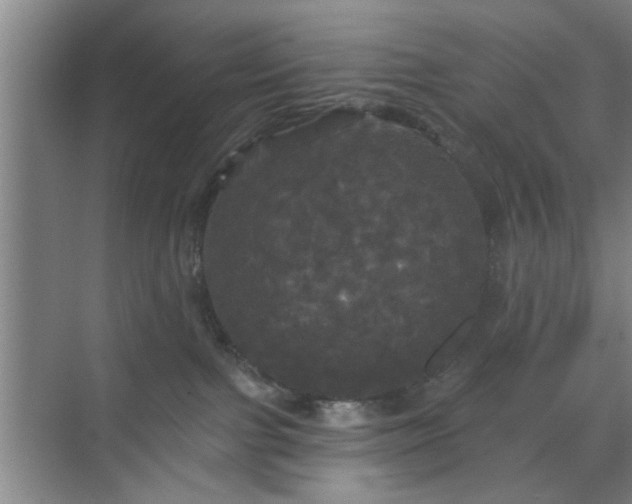 X0000070340091200606161302