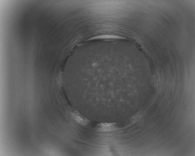 X0000070340093200606161302